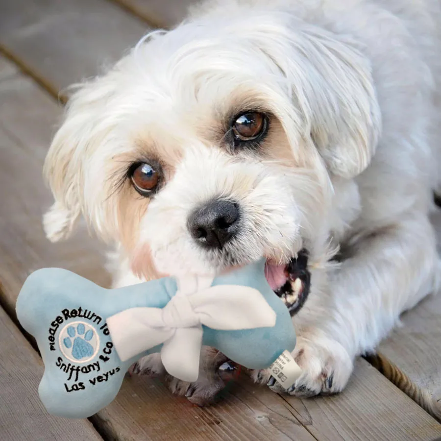 

16CM Squeaky Stuffed Bone Plush Dog Toy Unique Soft Interactive Puppy Toys