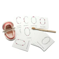 montessori practice life material toys simulated teeth model with flash card brushing tooth early training toy for baby a1364h