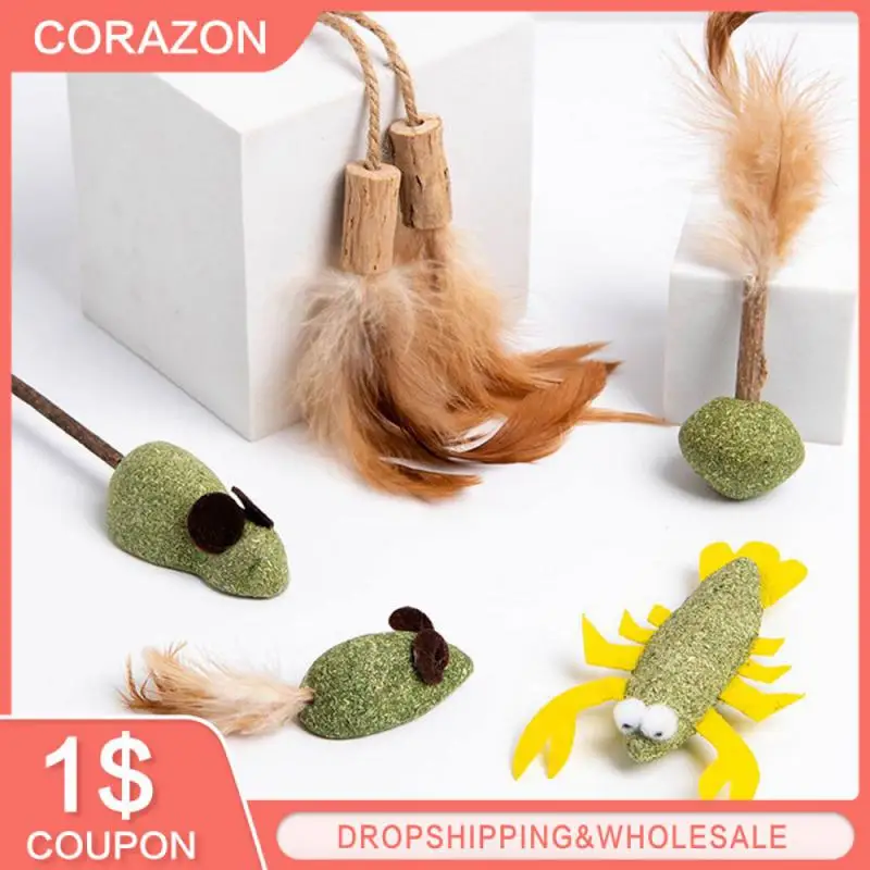 

2/3/4PCS Pet Catnip Toys Safety Cat Mint Edible Catnip Ball Tooth Grinding Rod Chasing Game Toy Healthy Mixed Multicolor