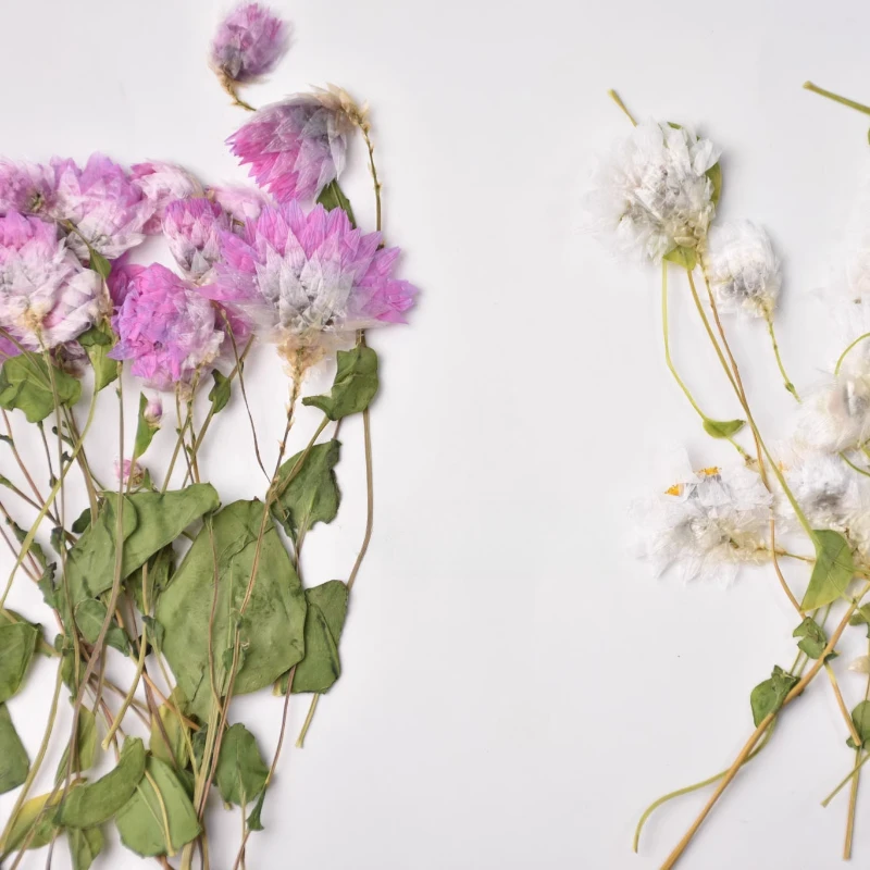 

Сушеные цветы NYAConfetti для декорирования 24 шт