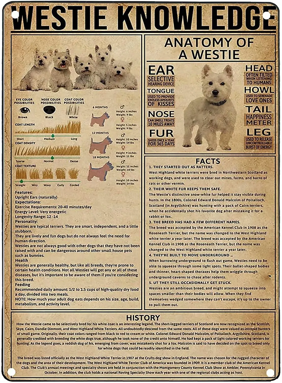 

Westie Knowledge Art Wall Decor Metal Tin Signs Anatomy Of A Westie Printed Poster Entertainment Bar Cafe Living Room Kitchen Ga