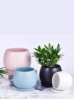 Ceramic Black Flower Pots White Indoor Cactus Creative Large Cute Nordic Plant Pot Tray Suculentas Garden Accessories 30