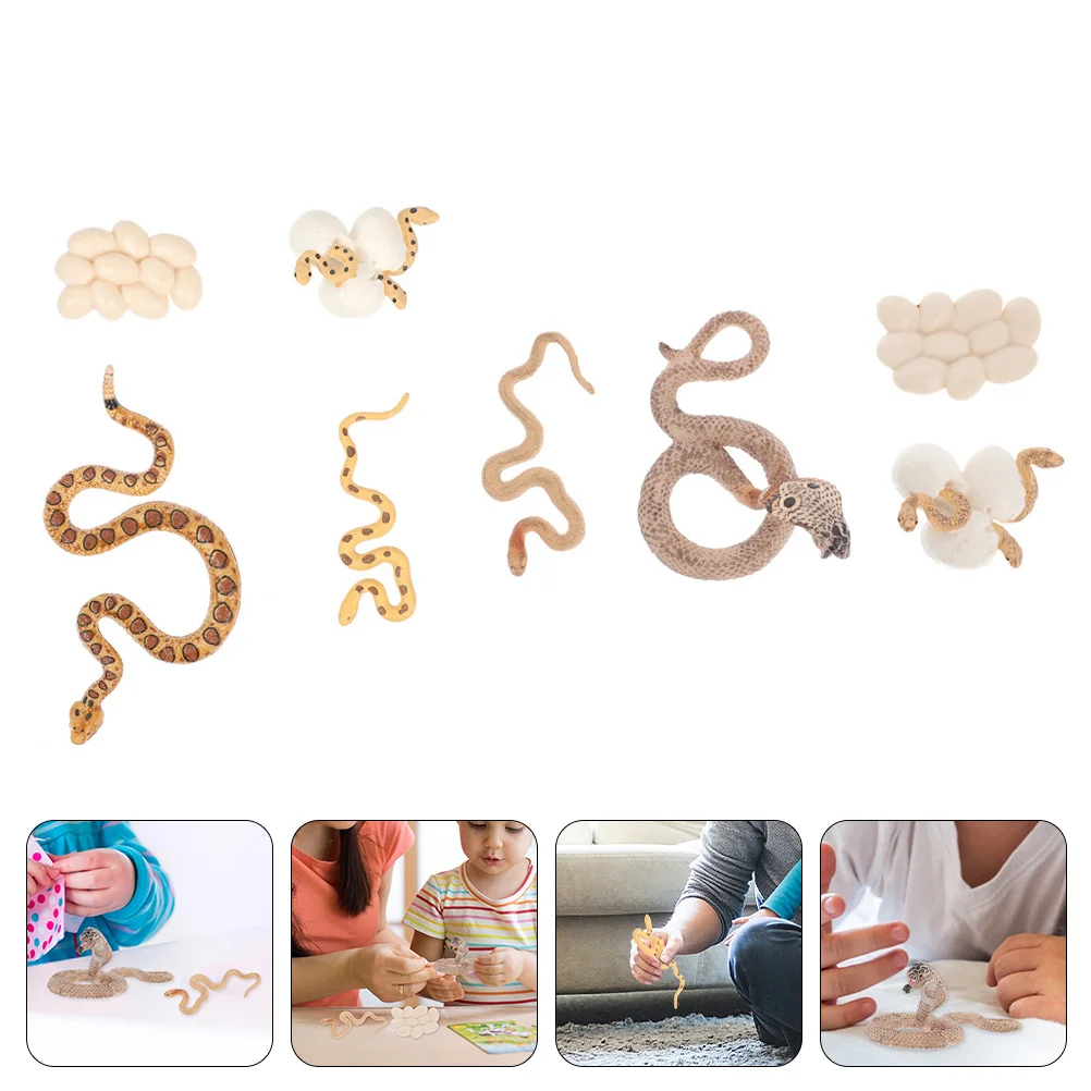 

2 Sets of Simulated Snake Growth Models Educational Snake Growing Toys Children Snake Toys
