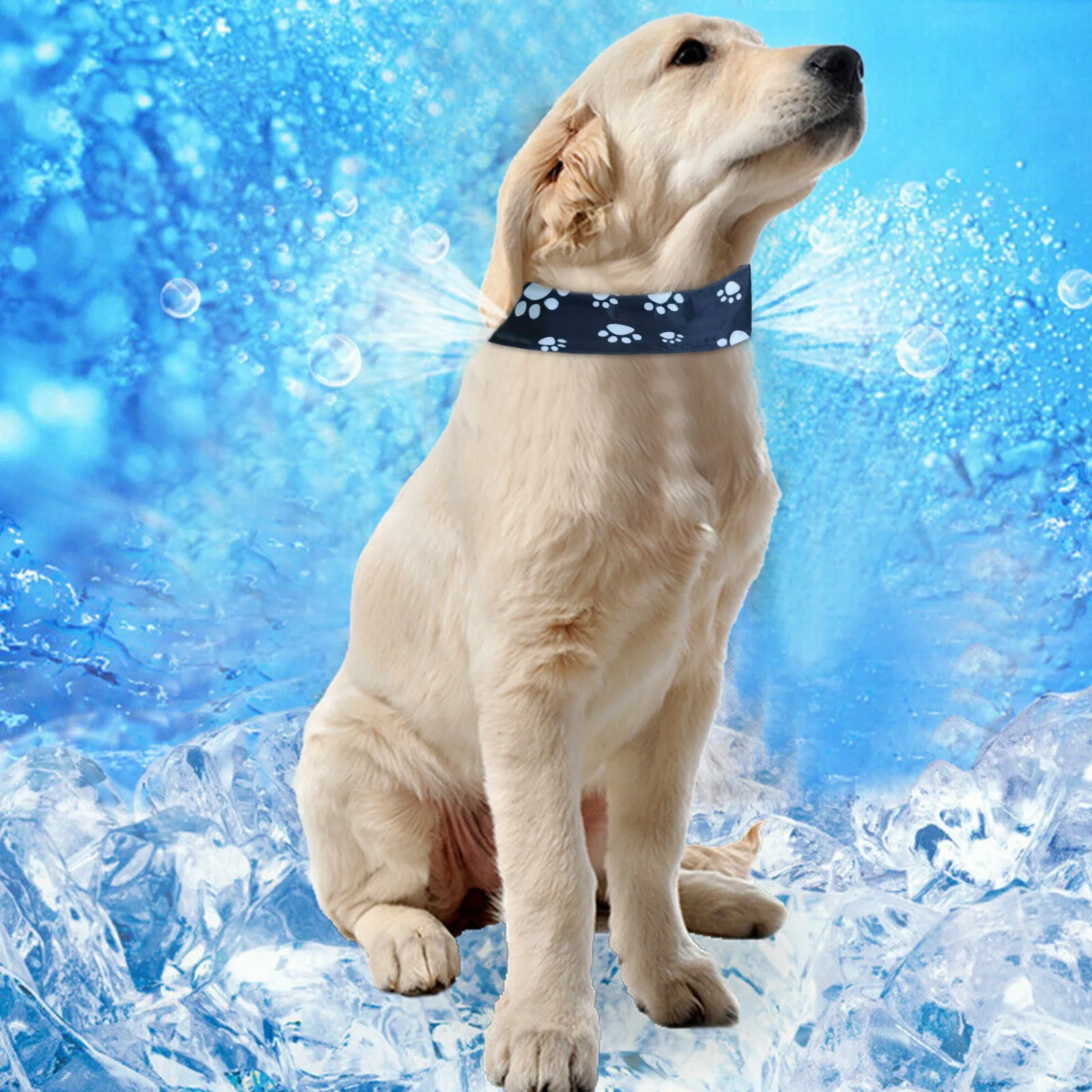 Summer Cool Ice Pad Heatstroke Cool Collar Dog Ice Bag Collar Summer Dog Cooling Bib Pet Adjustable Cooling Collar Bib