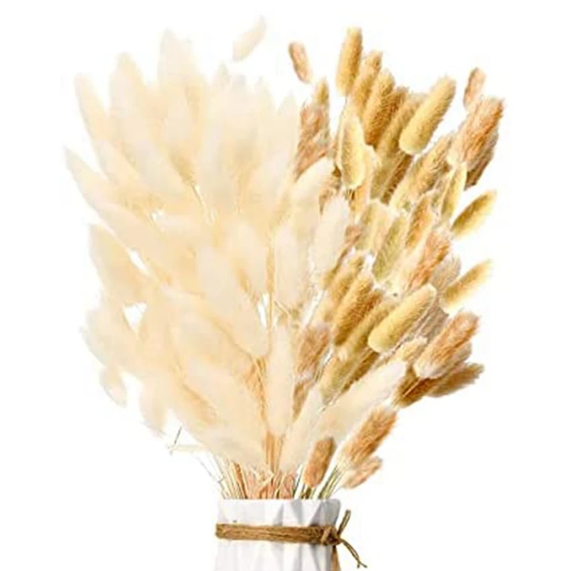 

NEW-Pampas Grass Dried Pampas Grass Fluffy Fronds Flowers Bouquet Flower Decoration For Flower Arrangements Home Decor
