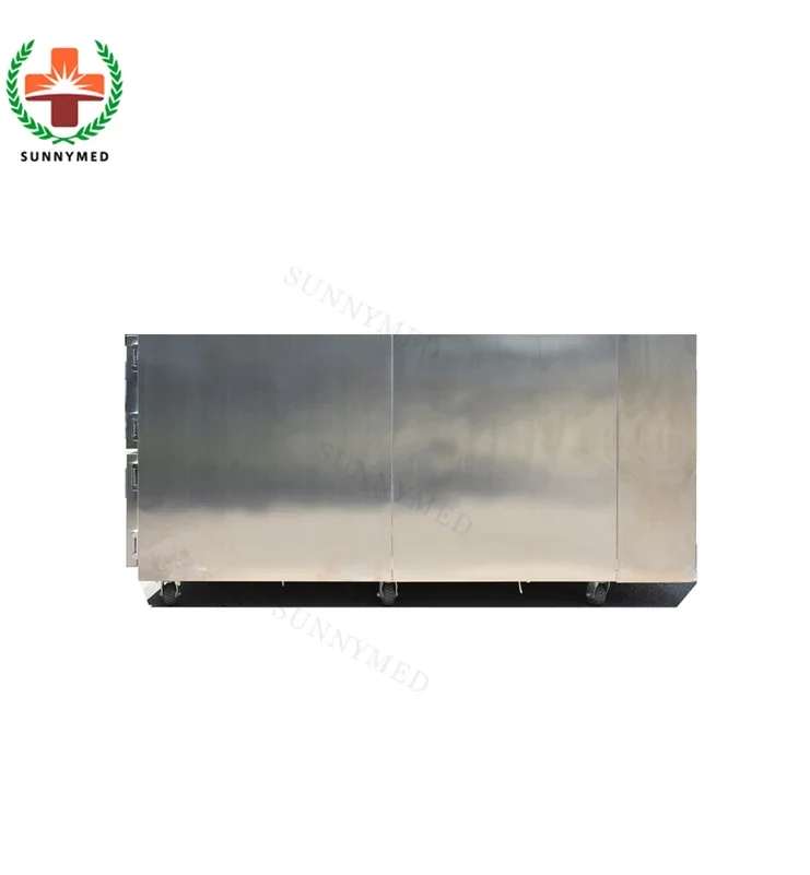 SY-STG02 больница холодильник для морга 2 corpses мертвого тела