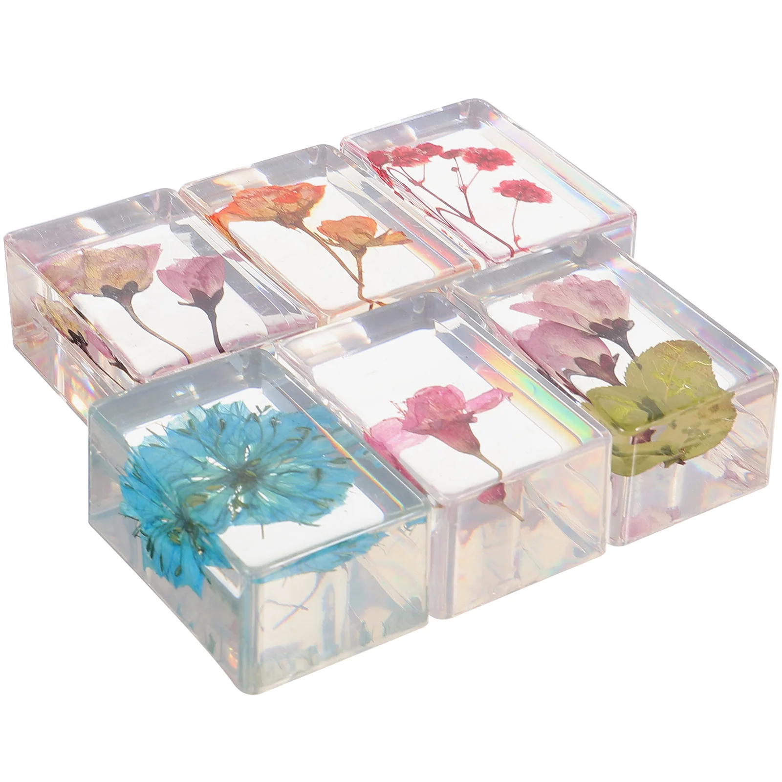 

6 Pcs Artificial Artificial Resin Faux Decor Collection Crafts Specimen Travel