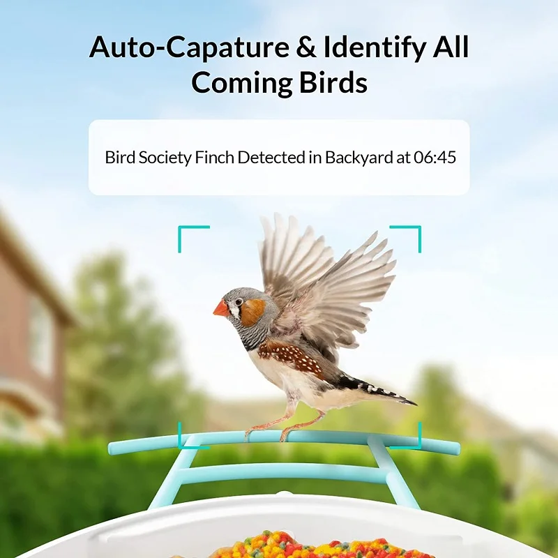Camhi Mini Video Security Pet Nest Камера для наблюдения за птицами Водонепроницаемая 1080P 1920P