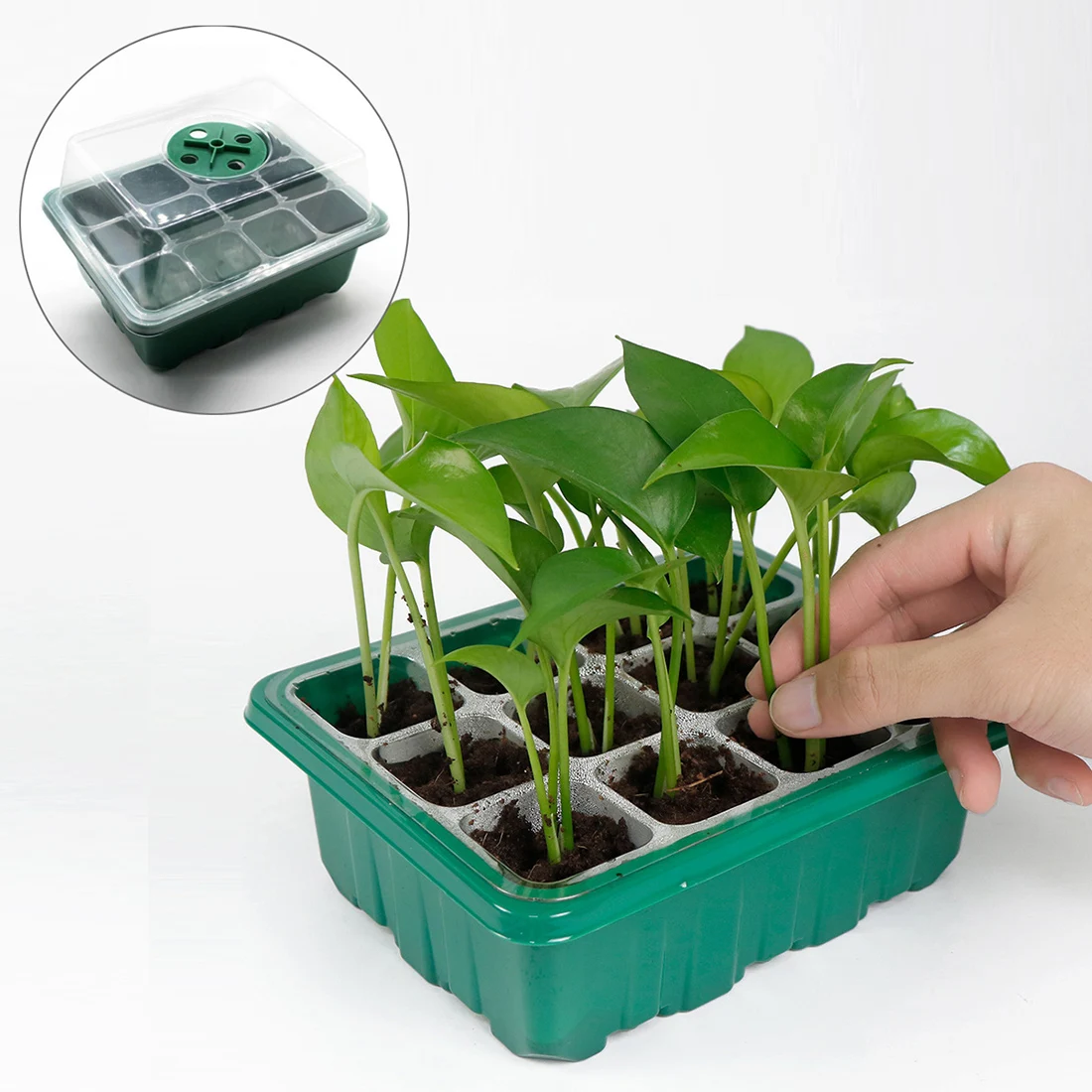 

12 Cells Seed Starter Kit Plant Seeds Grow Box Seedling Trays Germination Box With Dome And Base For Seeds Growing Starting