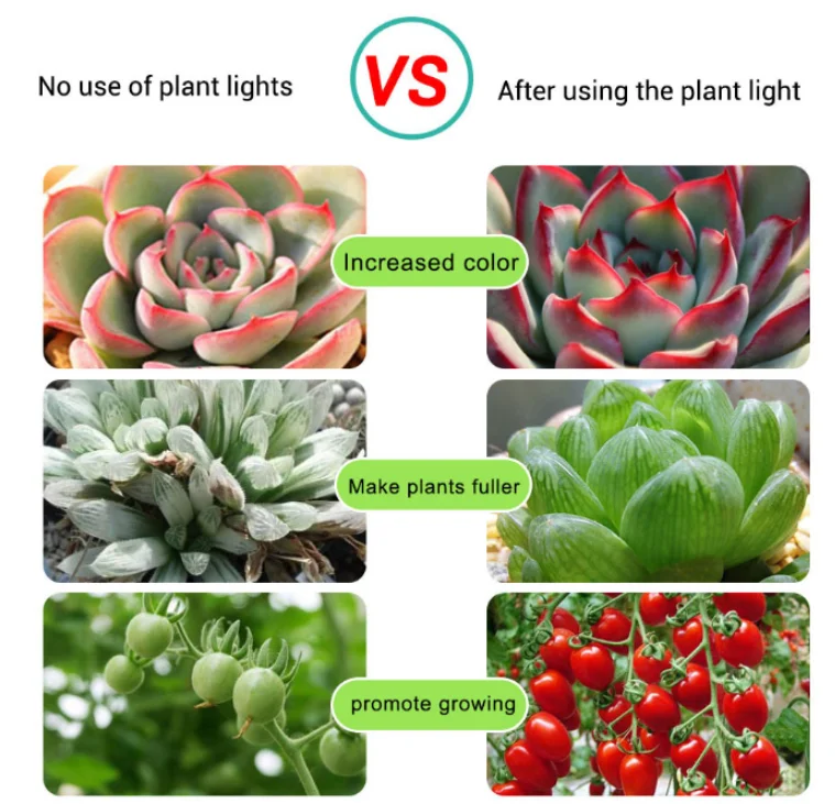 Светодиодная лампа полного спектра для выращивания растений с USB