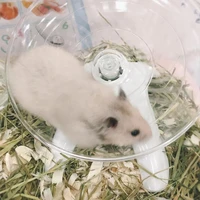 pet hamster flying saucer exercise squirrel wheel hamster running disc rat toys cage small animal hamsters accessories