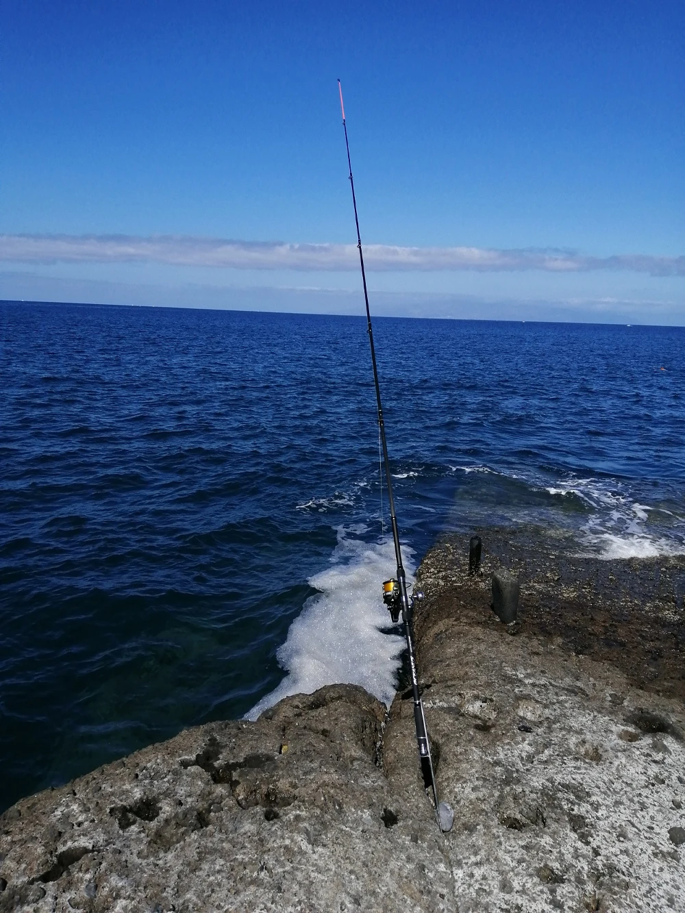 

2PCS----3.3M fishing rod------To United States