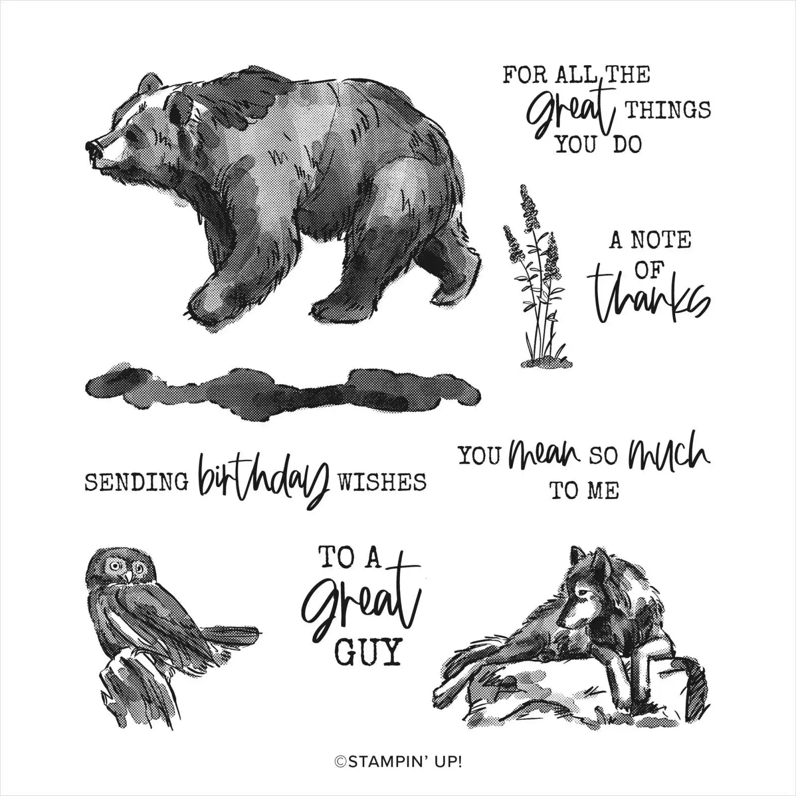 

2022 NEW Great Birthday Wishes Metal Cutting Dies and Clear Cling Silicone Stamp Diy Embossing Paper Gift Card Scrapbooking Mold