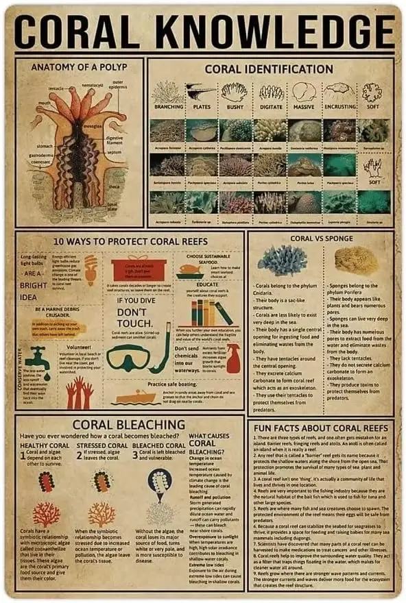 FEBOW Corl Knowledge Tn Sgn Populr Scence Poster School Frm Grden Hosptl nformton Tble Br Grge Club Home Wll Decorton