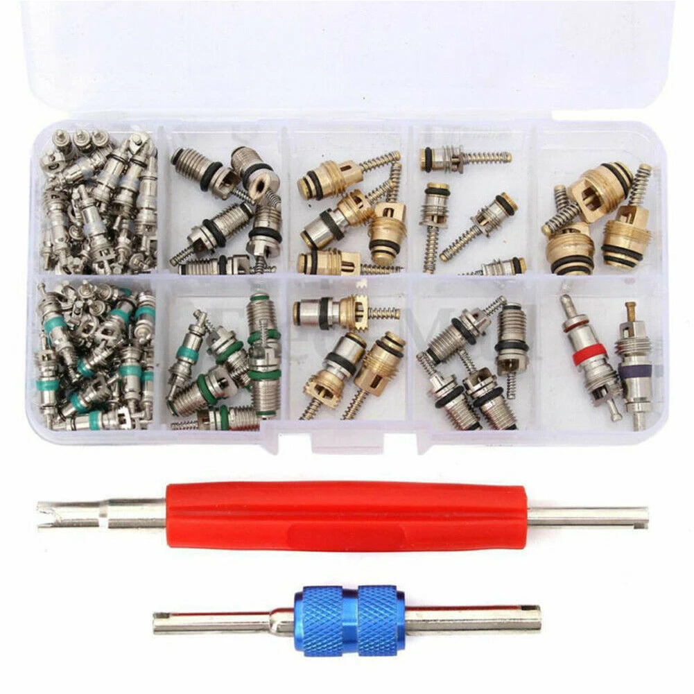 Auto Car R12 &R134a A/C Air Conditioners Valve Core Remover Tool Kit 102pcs/Set For Buick Series, for Beverly Universal etc