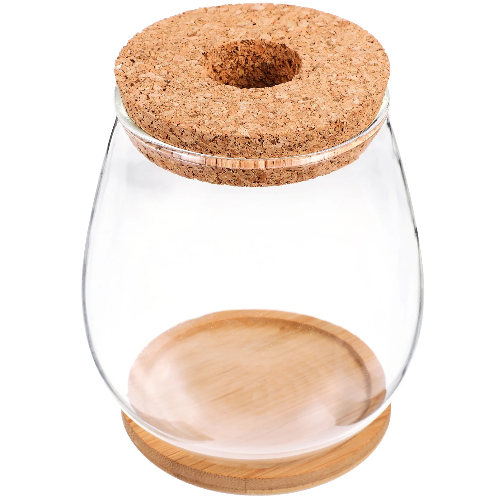 Гидропонная стеклянная ваза микропейзаж бутылка растения террариум контейнеры