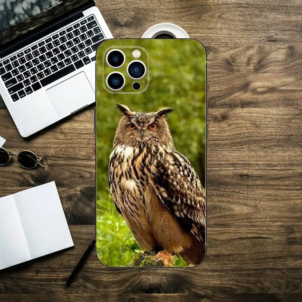Милый чехол для телефона «Птица Сова» для iPhone 16,15,14,13,12,11,XS,XR,X,8,7,Pro,Max,Plus,mini, силиконовый черный чехол (art.: 3920d05d4e735) - 3920d05d4e735
