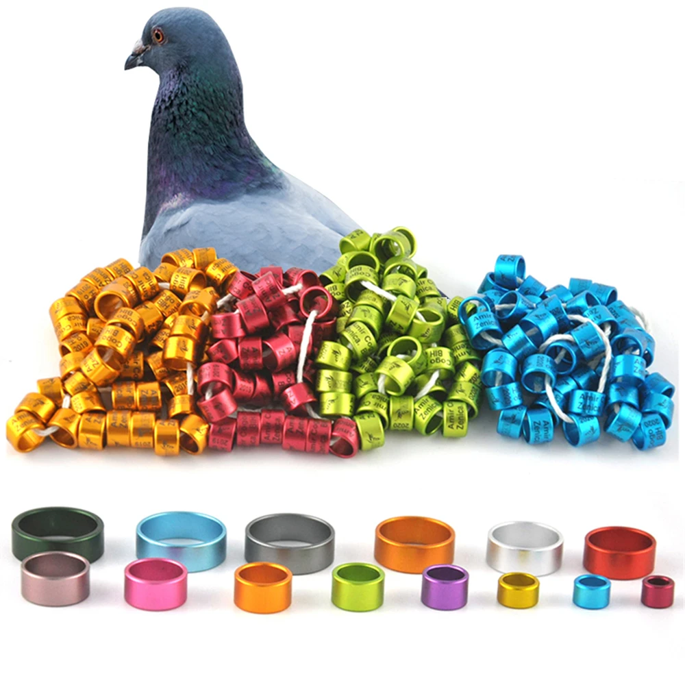 

ID 8mm pigeon parrot bird aluminum ring Multicolor straight tube identification ring Country Code + 2023 + Number Bird Foot Ring