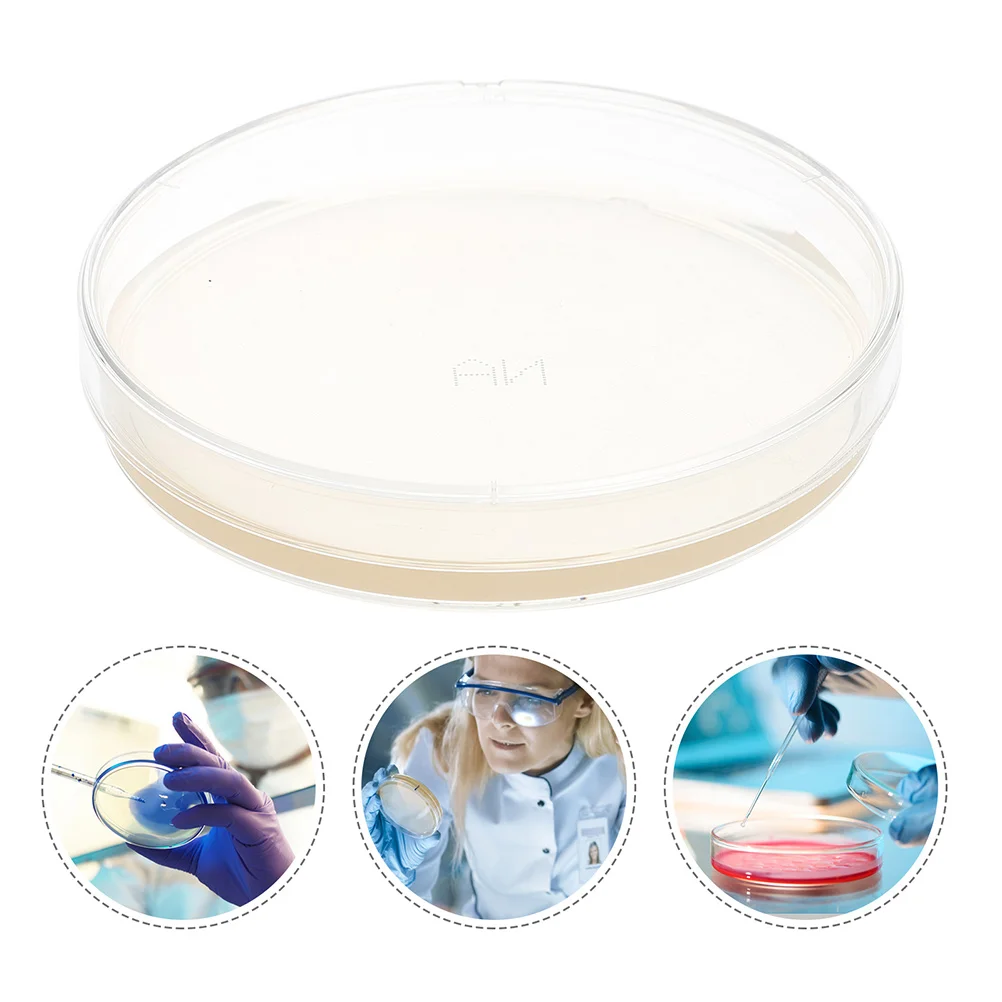 

Agar Petri Plates Dish Dishes Science Nutrient Plate Kits Kit Malt Extract Laboratory Experiment Mushroom Supplies Dextrose