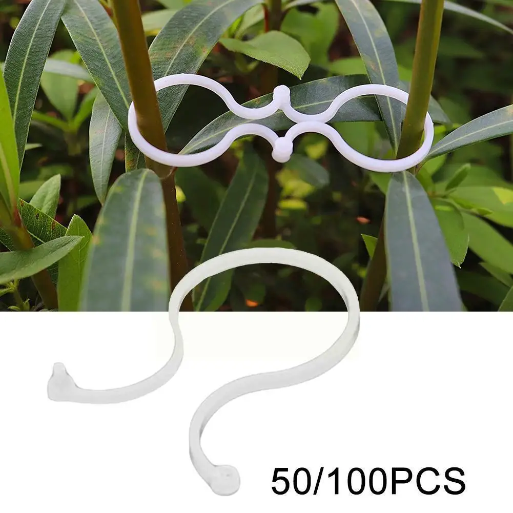 

50/100 шт., садовые зажимы для поддержки растений