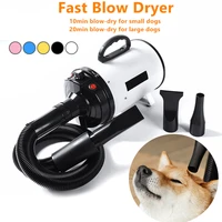 2800w hair dryer for dogs pet grooming supplies blower warm wind secador fast blow dryer silent stepless speed regulation