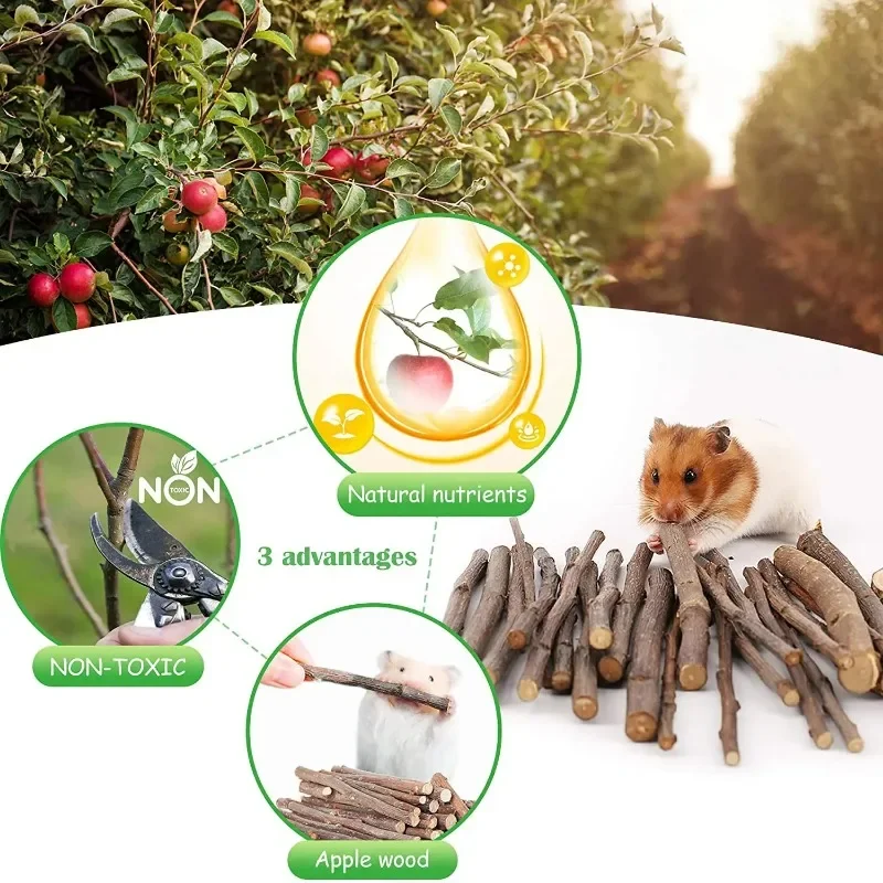 11-15 шт./набор деревянные игрушки для хомяка