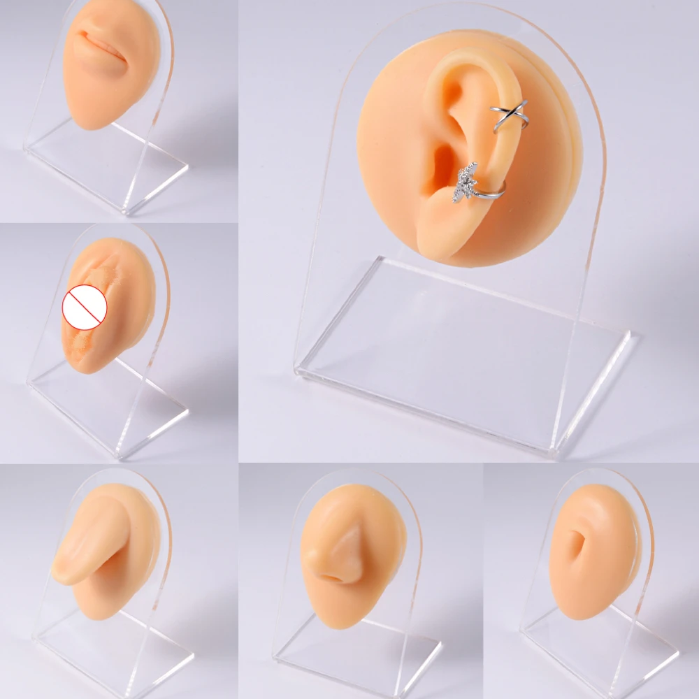 

Soft Silicone Human Body Model Displays Ear Mouth Eye Tongue Teaching Tool Body Model Professional Practice Piercings Tools Kit