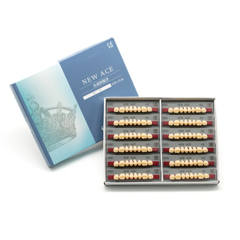 

Acrylic Synthetic Teeth For Dental Labs Yamahachi