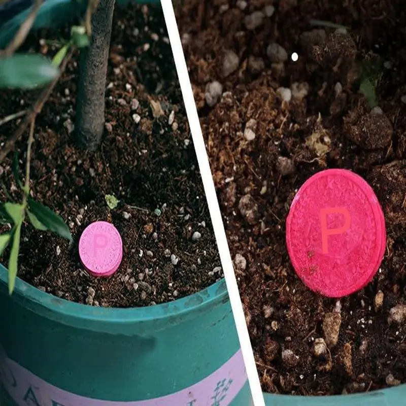 Description Picture 5 of item100g Gardening Universal Slow-Release Tablet Organic Fertilizer Plant Flowers Nitrogen Phosphorus Potassium Slow Release Agent