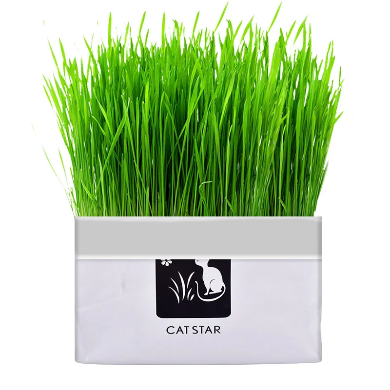 

Pet cat grass pot hydroponics set cat grass snack hair ball cleaning stomach grass hydroponics grass cat snack cleaning toys