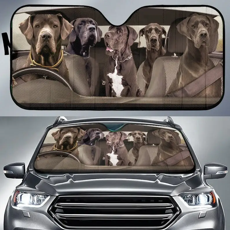 

Автомобильный солнцезащитный козырек на 4 собак, дизайн собаки, автомобильный солнцезащитный козырек, автомобильный декор, индивидуальная печать, автомобильные аксессуары, защитные собаки, Apollo of