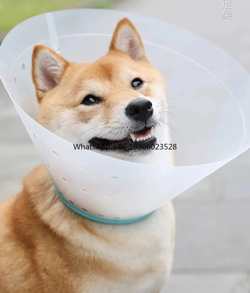 Средство для ухода за питомцами ошейник кошек и Элизабет питомцев