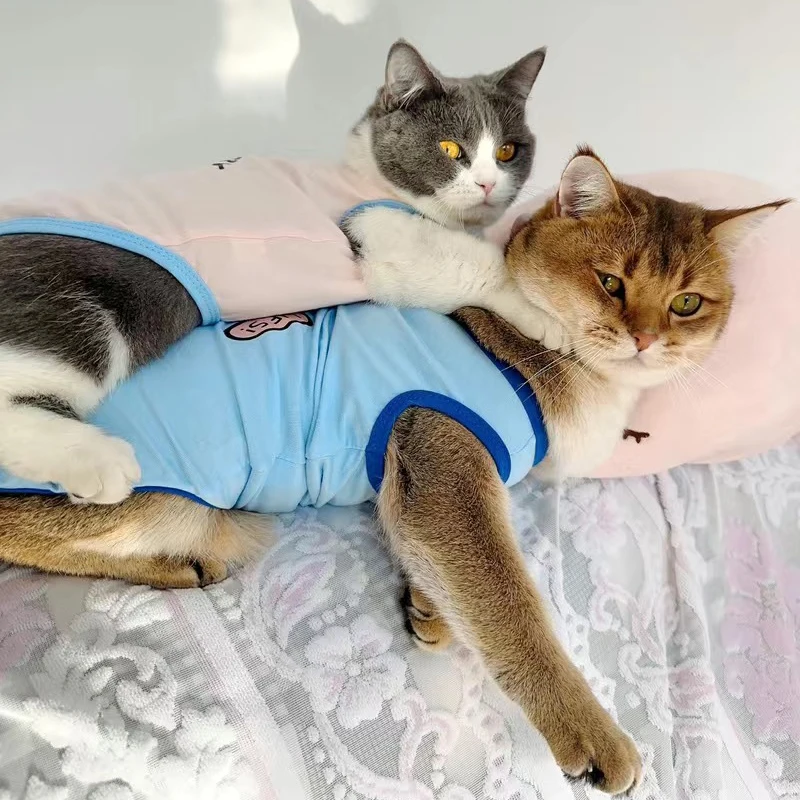 Summer Mesh Orange Cat Vest Clothes for Cats Gotas Cute Print Pet Sleeveless Shirt Sphynx Kedi Garfield mascotas Clothing Suit