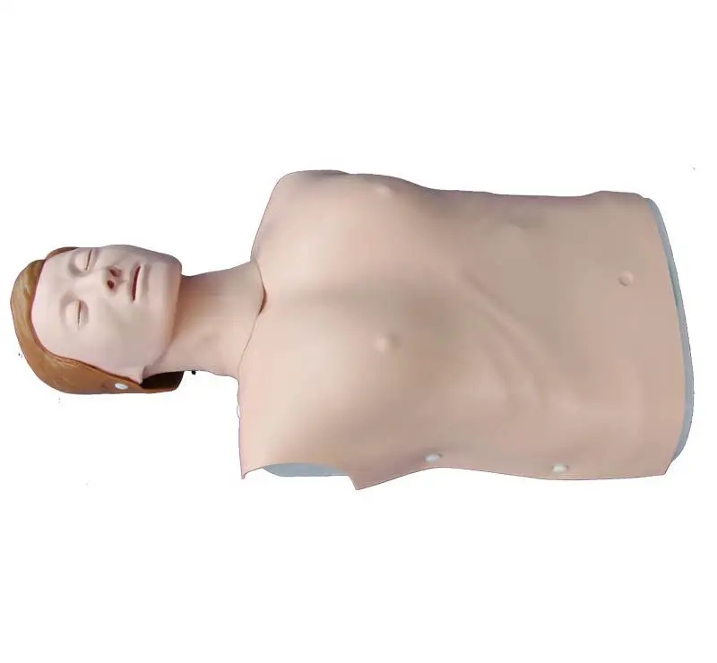 

Half Body CPR Training Model (Female)