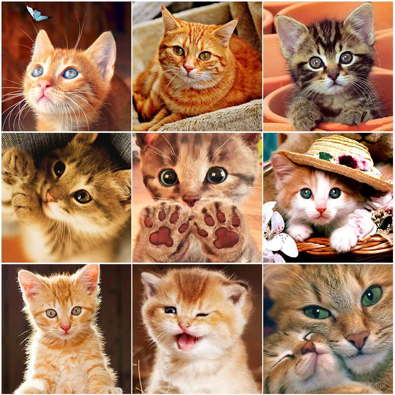 

5D «сделай сам», алмазная живопись с котенком, полностью круглые картины Стразы с котом, алмазная вышивка, мозаика с животными, украшение для ...