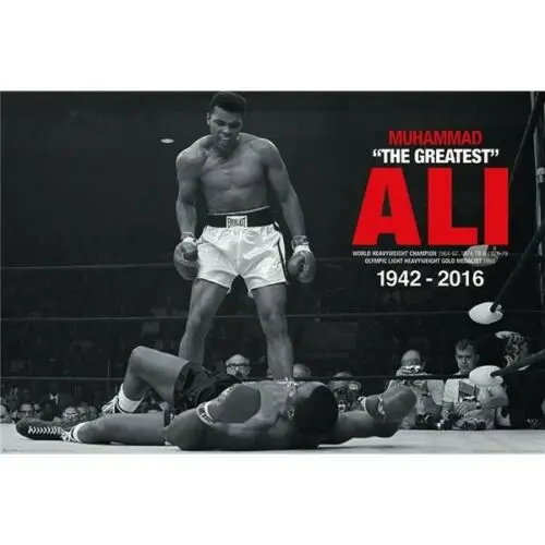 

ALI Vs LISTON THE GREATEST 1942-2016 Art print Silk poster Home Wall Decor