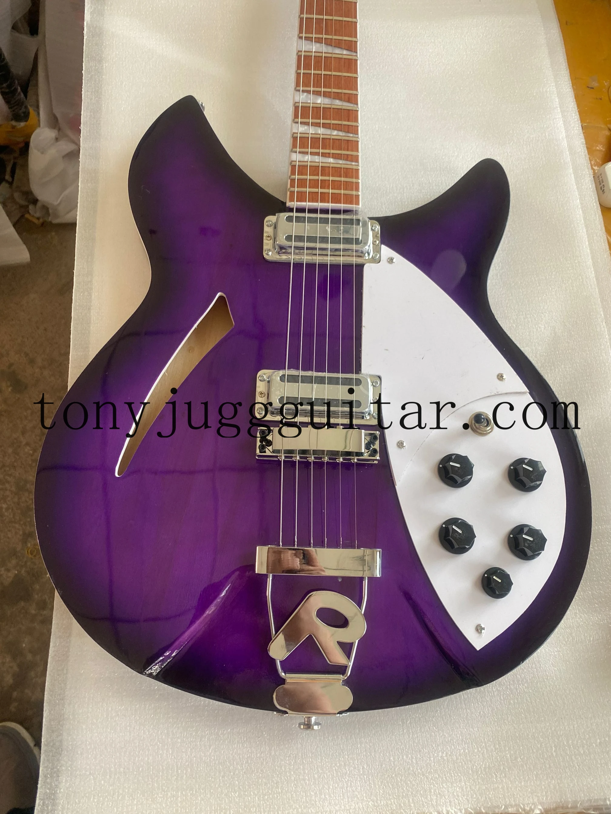 

RIC 360 6 String Purple Semi Hollow Body Electric Guitar Gloss Varnish Fingerboard, Two Output Jack,Dual Body Binding,Five Konbs