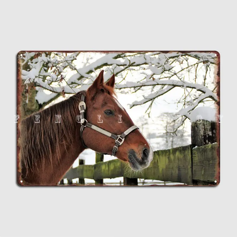 

Snow Horse Poster Metal Plaque Wall Plaque Home Create Club Home Tin Sign Poster