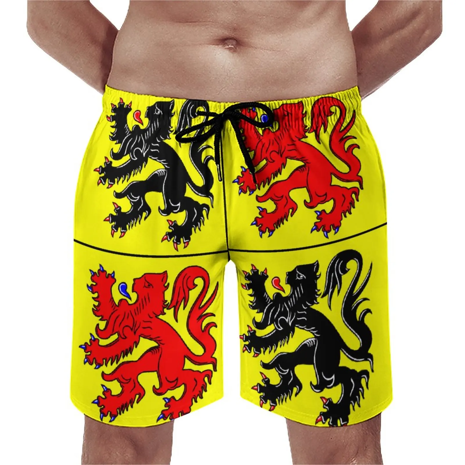 

Шорты мужские пляжные свободные эластичные с принтом в виде флага хайнанта