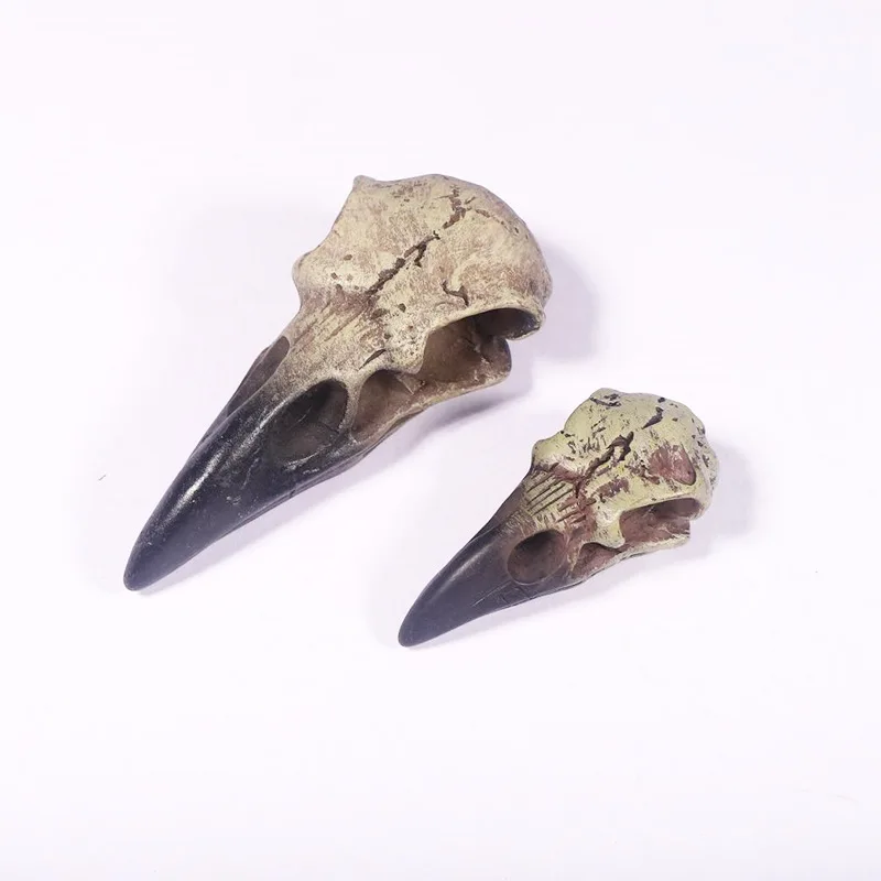 Копия черепа вороны из смолы