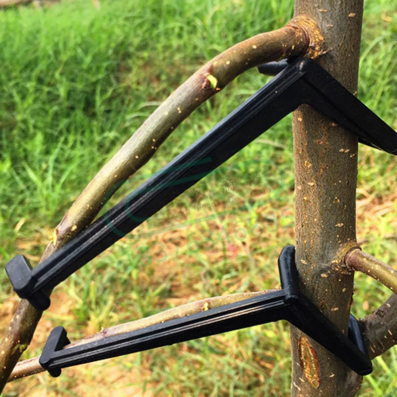 

10Pcs Fruit Tree Branches Holder Fruit Branch Spreader Tree Branch Support Frame for Fixed Tree Branches Reusable