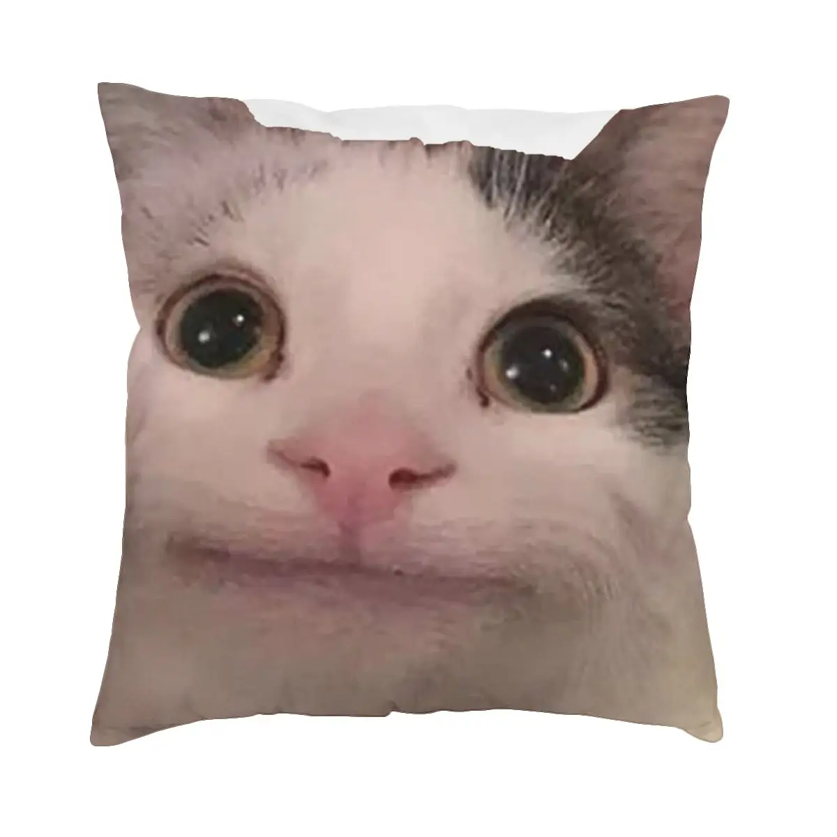 Polite Cat Meme Pillowcase Soft Polyester Cushion Cover Decorations Throw Pillow Case Cover Home Square 18"