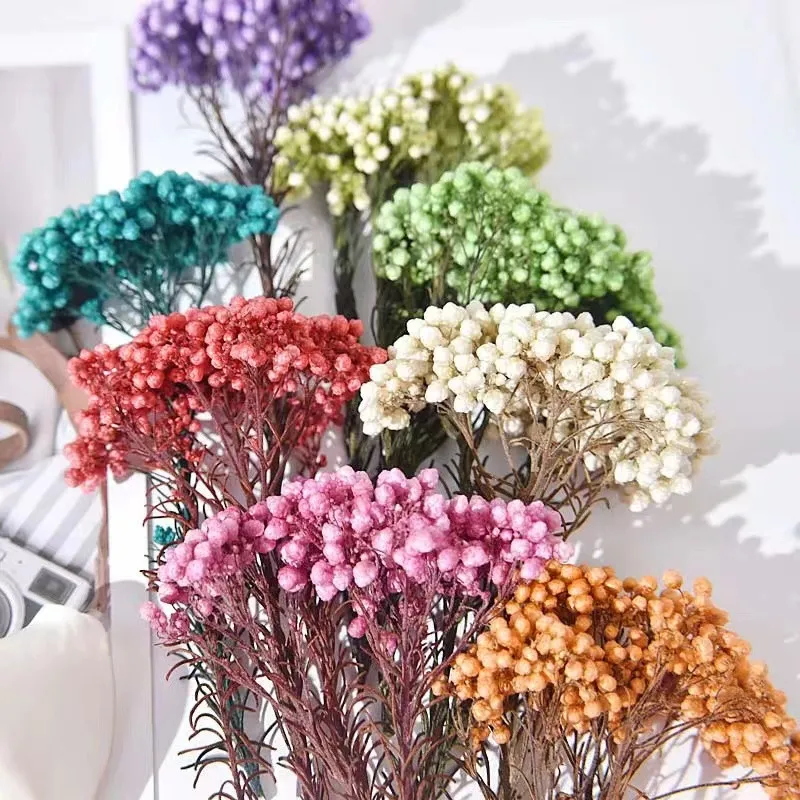 

50g Atural Millet Fruit Dried Flower Artificial Flowers For Wedding Decoration Bridal Wedding Bouquet Home Decor Items With Fr