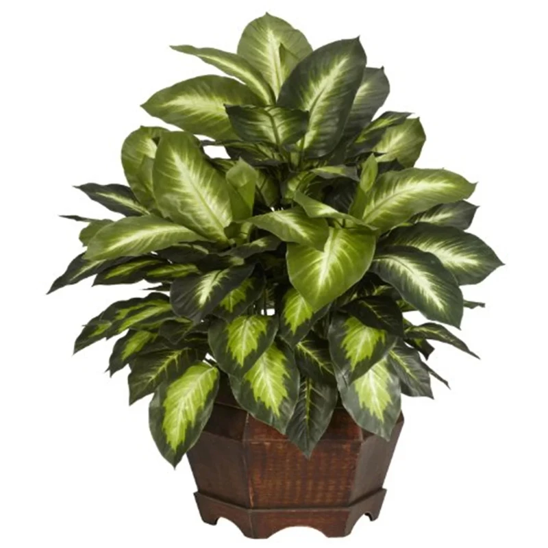 

Golden Dieffenbachia Silk Plant Green