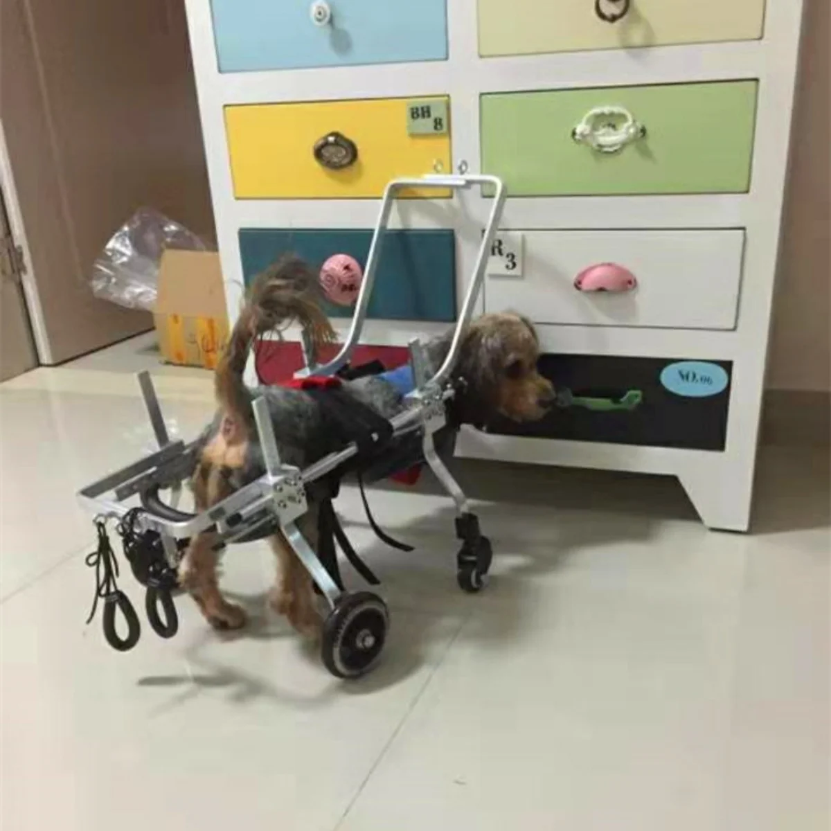 Инвалидная коляска для пожилых собак четырехколёсное кресло hemiplegic с передними