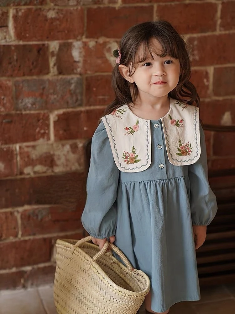 

Girl Newborn Baby Dress Spring Summer Toddler Kids Floral Embroidery Long Sleeve Dresses Children's Costumes Clothing