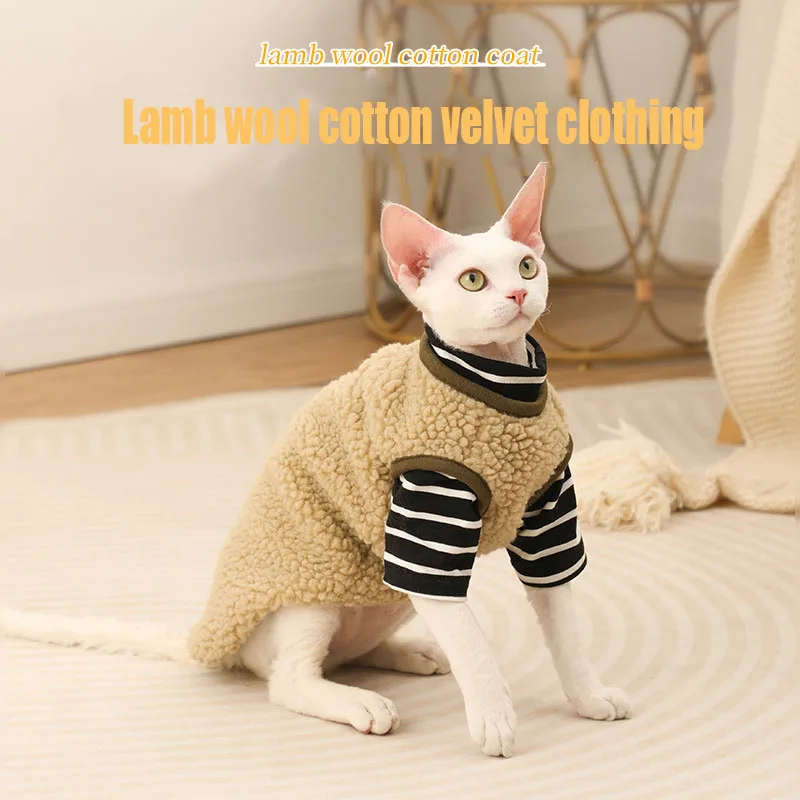 

Фонарики, фонарики для котят, фонарики для кошек, потеря волос, осенние и зимние питомцы, фонарики для собак