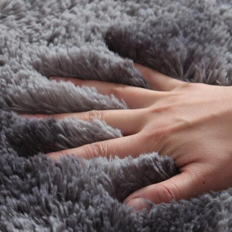 

Thick Carpet for Living Room Plush Rug Children Bed Room Fluffy Floor Carpets Window Bedside Home Decor Rugs Soft Velvet Mat