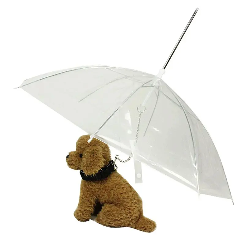 Portable Transparent Walking Small Dog Cat Pet Umbrella With Chain Keep Dry In Rain Outdoor Gear Tool