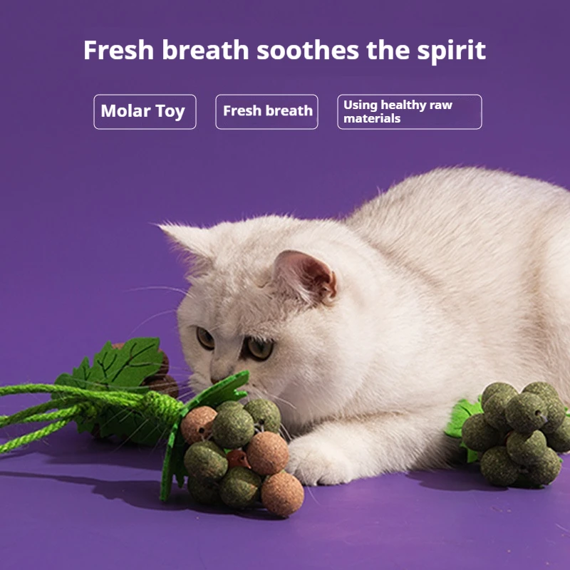 Catnip Toys Cat Grape Lick Joy Pets Years Old Fragrant Teeth Grinding Cleaning Insect Gall Mint Ball Teasing